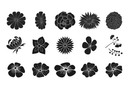 Black floral silhouette collection doodle style isolated on white.のイラスト素材