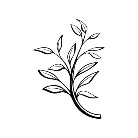 Doodle style floral decorative element.のイラスト素材