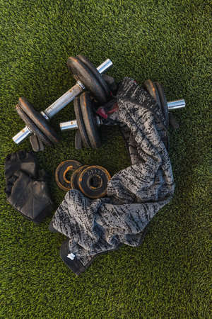 Old rusty gym in the garden on grassの写真素材