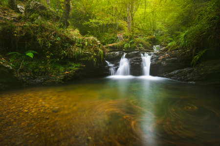 waterfalls in a lush green forest in autumnの写真素材