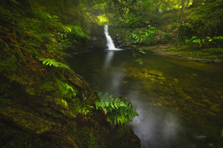 waterfall in a forest with green colors and lots of vegetation and waterの写真素材