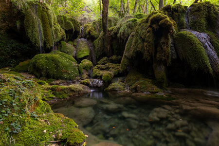 green waterfall in a forest with spectacular formations and transparent waterの写真素材