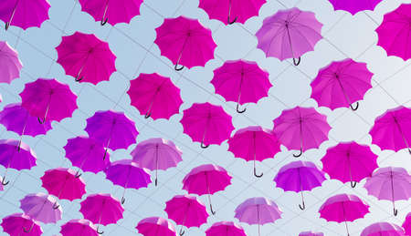 many pink umbrellas hanging in the street with a sunny sky. 3d renderの写真素材