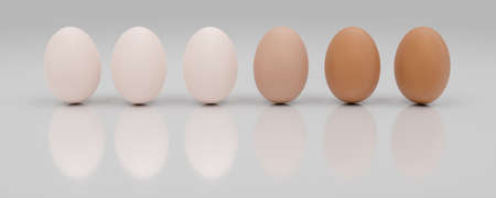 row of a dozen eggs sorted from light to dark. 3d illustrationの写真素材