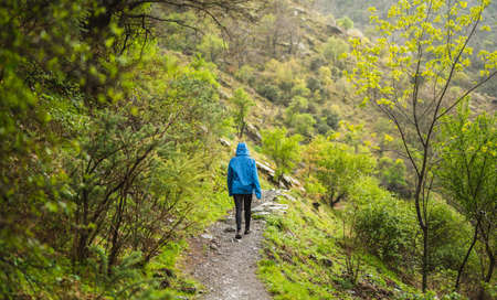 girl in blue jacket walking on a sidewalk surrounded by green vegetation while it rainsの写真素材
