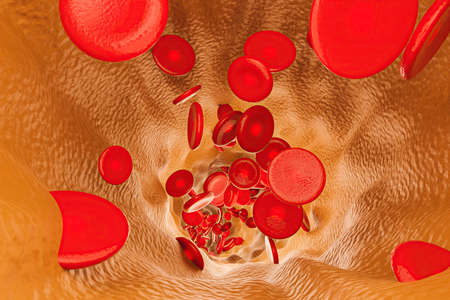interior of a vein full of cholesterol with red blood cells stuck in it. 3d rendering