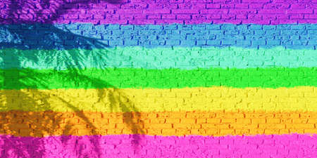 LGTB flag painted on a brick wall with the shadow of a palm tree. copy space. 3d renderの写真素材
