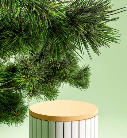 podium for product presentation with pine branches on green background. 3d renderの写真素材