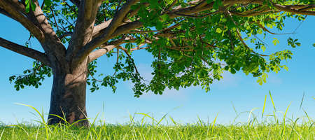 closeup of big tree on grassy meadow with shadow of branches. relaxing place. 3d renderの写真素材