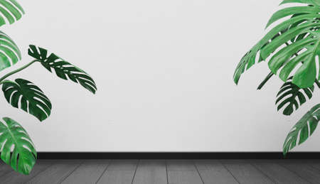 empty wall background with wooden floor and monstera plants on the sides with space for design. 3d...