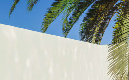 white cement garden wall with reflected pool caustics and palm leaves on one side with clear sky. 3d...