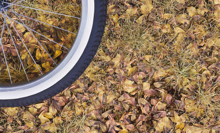 background of autumn dry leaves with bicycle wheel on one side. concept of autumn ride, sport and...