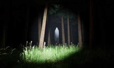 Ghost illuminated by a lantern in a mysterious forest with fog at night. Halloween concept. Horror,...