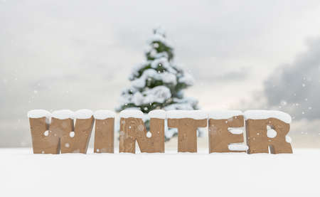 snowy wooden sign with the word WINTER and snow falling with cloudy sky. 3d renderの写真素材