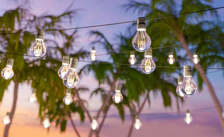 3D illustration of light bulbs hanging on wires against exotic palms and sunset sky on beachの写真素材