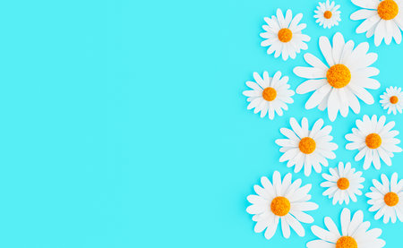 Top view of gentle daisy flowers with white petals and yellow pestles attached to bright blue background. 3d renderingの写真素材