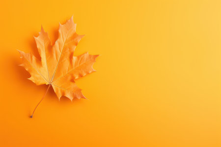 Autumn maple leaf on orange background with copy space for your textの素材