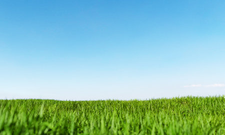 close-up of a lush green landscape with a clear sky. concept of environment, agriculture and environmentalism. 3d renderingの写真素材