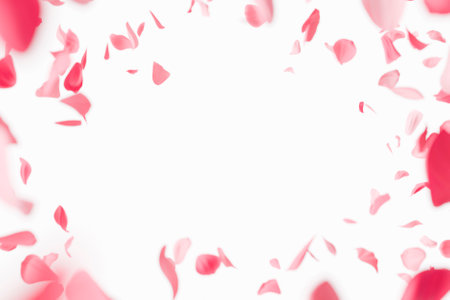 Delicate pink rose petals gently falling, forming a romantic frame against a pristine white backdrop. 3d renderingの写真素材