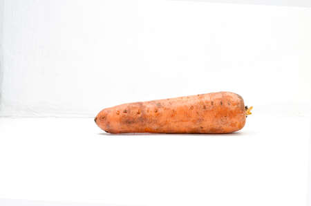 Still life - vegetables from the garden, a single orange carrot on a white background.の写真素材