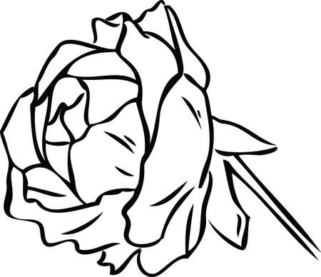 Flowers, Line Artのイラスト素材