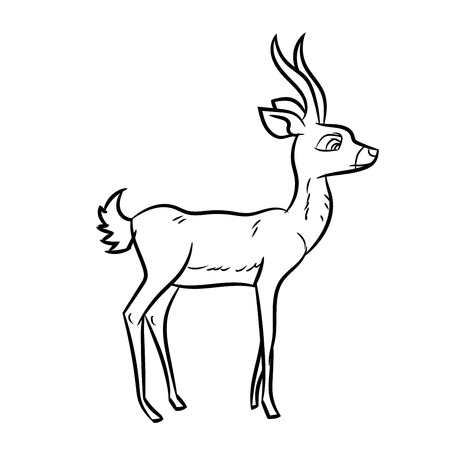 Hand drawn sketch of Antelope isolated, Black and White Cartoon Vector Illustration for Coloring Book - Line Drawn Vectorのイラスト素材