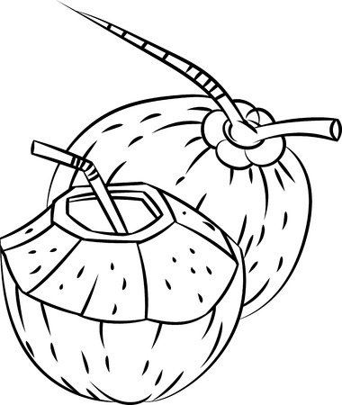 Hand drawn sketch of Coconut and Coconut Water isolated, Black and White Cartoon Vector Illustration for Coloring Book - Line Drawn Vectorのイラスト素材