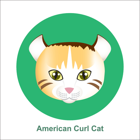 Colorful Cartoon American Curl Cat in Circle, happy and running on white background - Vector clipart illustration.のイラスト素材