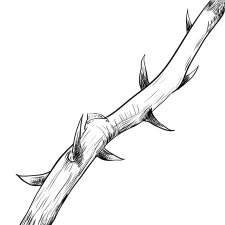 Hand drawing of Thorn. Black and White simple line Vector Illustration for Coloring Book - Line Drawn Vectorのイラスト素材