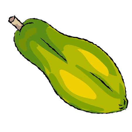 Isolated Papaya cartoon style on white background -Vector Illustrationのイラスト素材