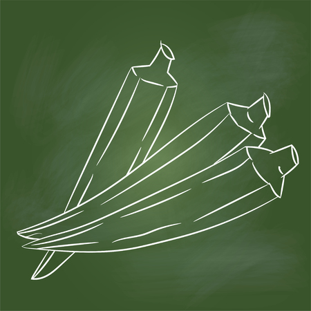 Hand drawing lady finger vegetable icon.のイラスト素材