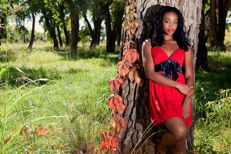 Beautiful dark skinned woman leaning against a treeの写真素材