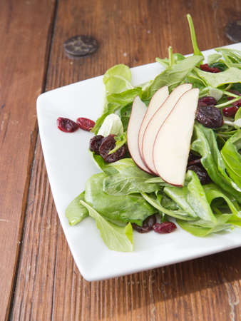 Raw vegetarian spinach plate with cranberries and pearの写真素材
