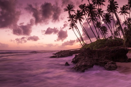 Tropical beach, Sri Lanka