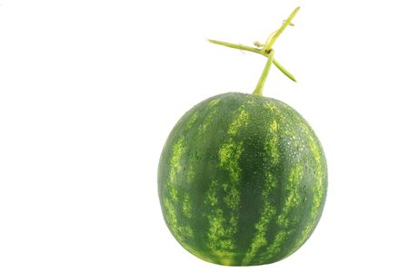 Watermelon isolated on whiteの写真素材