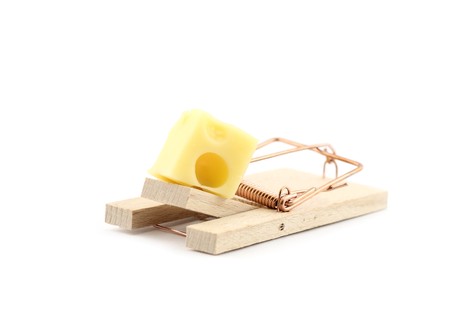 Mouse trap with cheese isolatedの写真素材