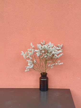 Delicate white baby's breath flowers arranged in a dark brown glass vase, placed on a table with a coral-colored textured wall in the background. Simple and modern.の写真素材