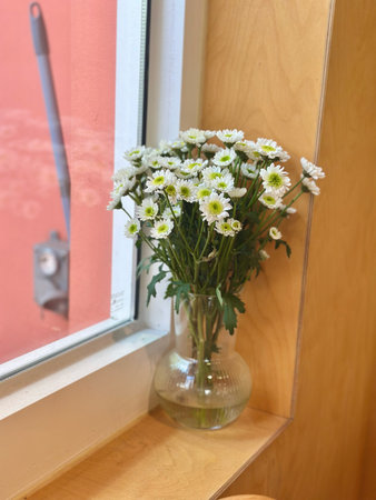 A simple bouquet of white flowers in a glass vase by the window. Natural light and soft tones create a calm and cozy mood.の写真素材