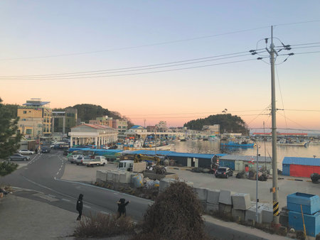 A serene view of a small fishing village harbor in South Korea during sunrise. The scene includes fishing boats docked at the marina, traditional buildings.の写真素材