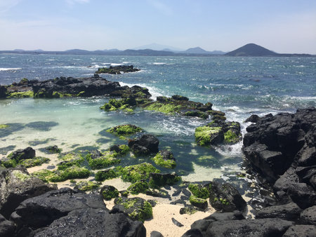 Beautiful coastal scenery of Jeju Island featuring black volcanic basalt rocks, green algae-covered...
