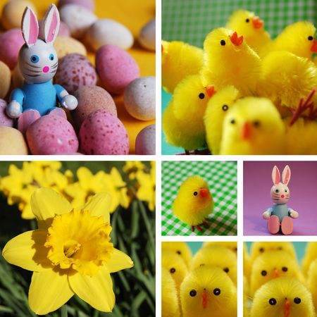 A collection of easter photography.の写真素材