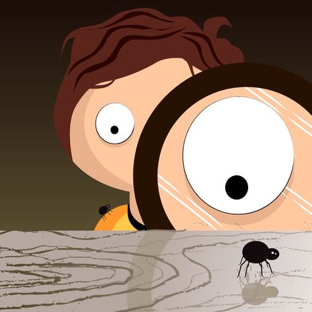 Sam watching a spider watching you...の写真素材