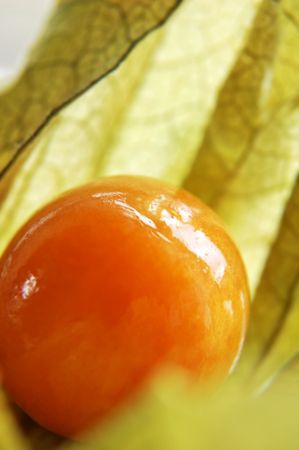 A macro shot of the Cape Gooseberry (Physalis).の写真素材