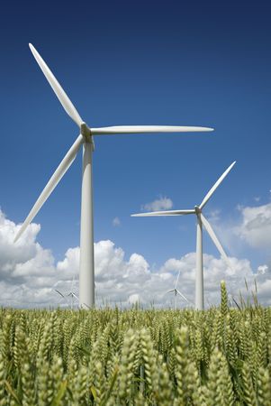 Wind turbine farm against a summer blue sky.