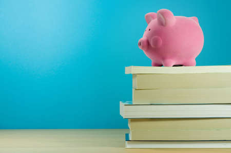 Books secured with a piggy bank.の写真素材