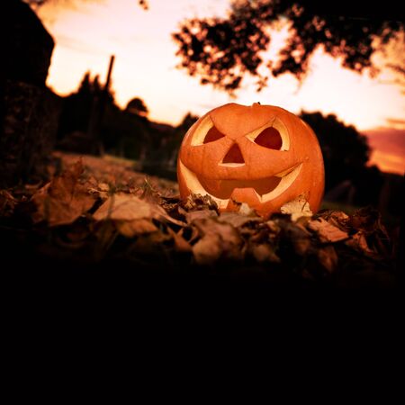 Halloween background with copy space.の写真素材