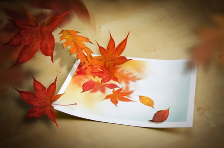 Autumn Coming To Life. Autumn concept.