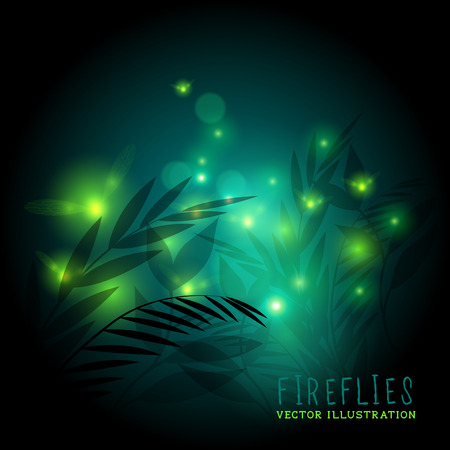 Fireflies in the forest at night - vector illustration.のイラスト素材