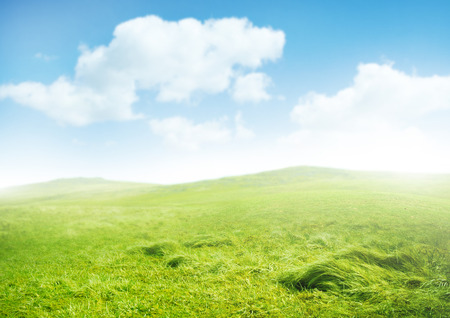 Misty Morning. Green rolling hills and a clear sky.の写真素材