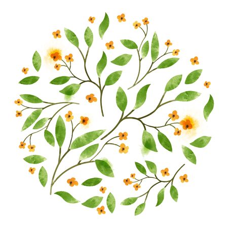 Floral Watercolor. Leaves and branches with orange flowers.のイラスト素材